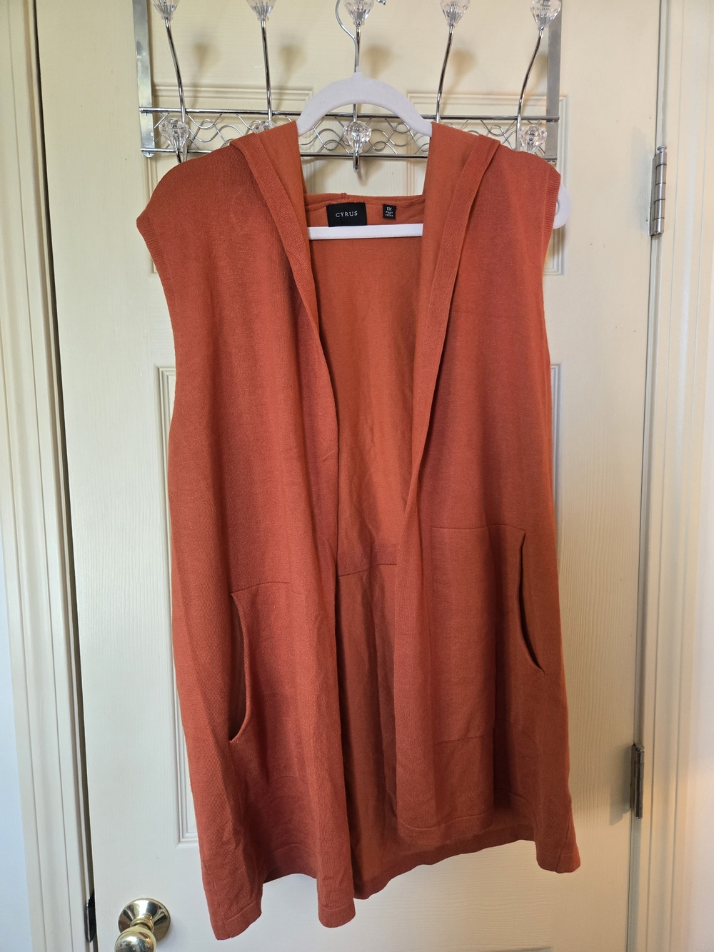 Cyrus Hooded Sleeveless Knit Vest - Terracotta